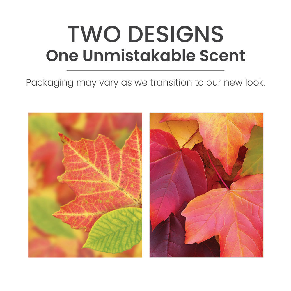 Autumn Leaves® Concentrated Room Spray - Image 3