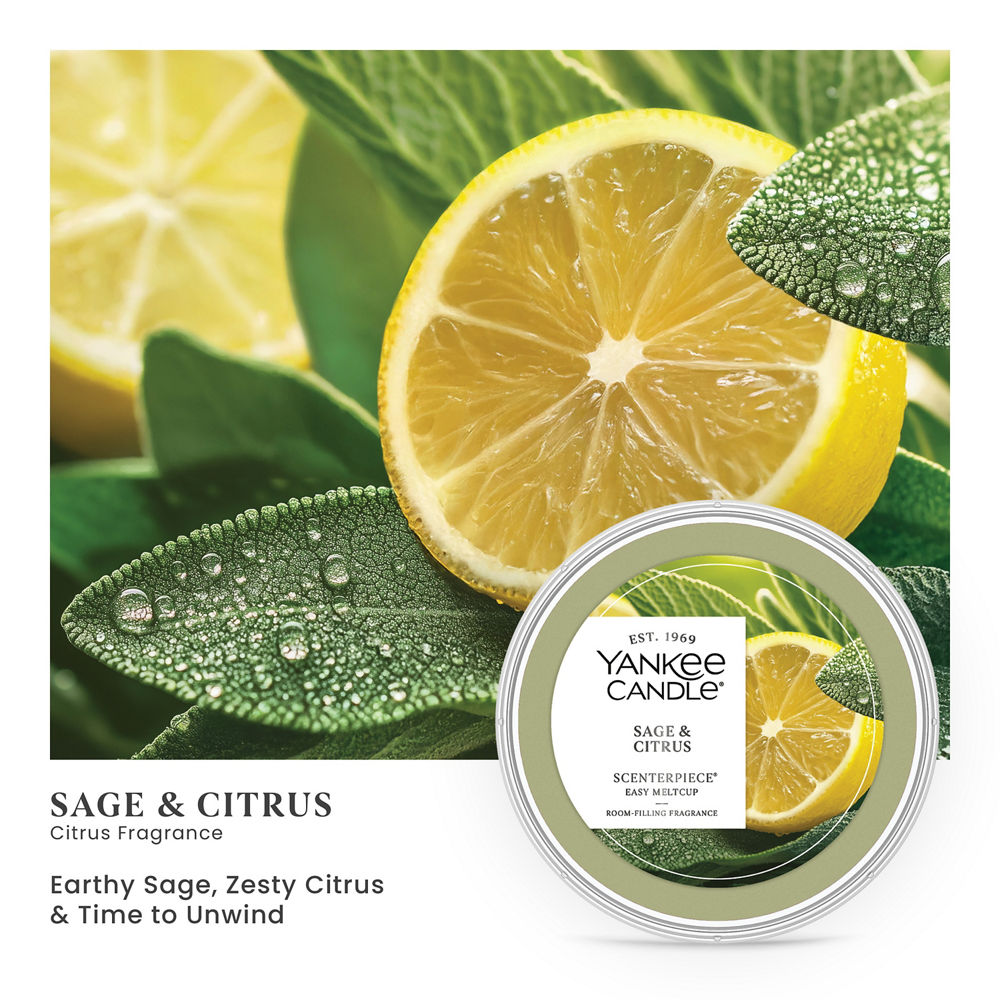 Sage & Citrus Scenterpiece® Easy MeltCup - Image 2