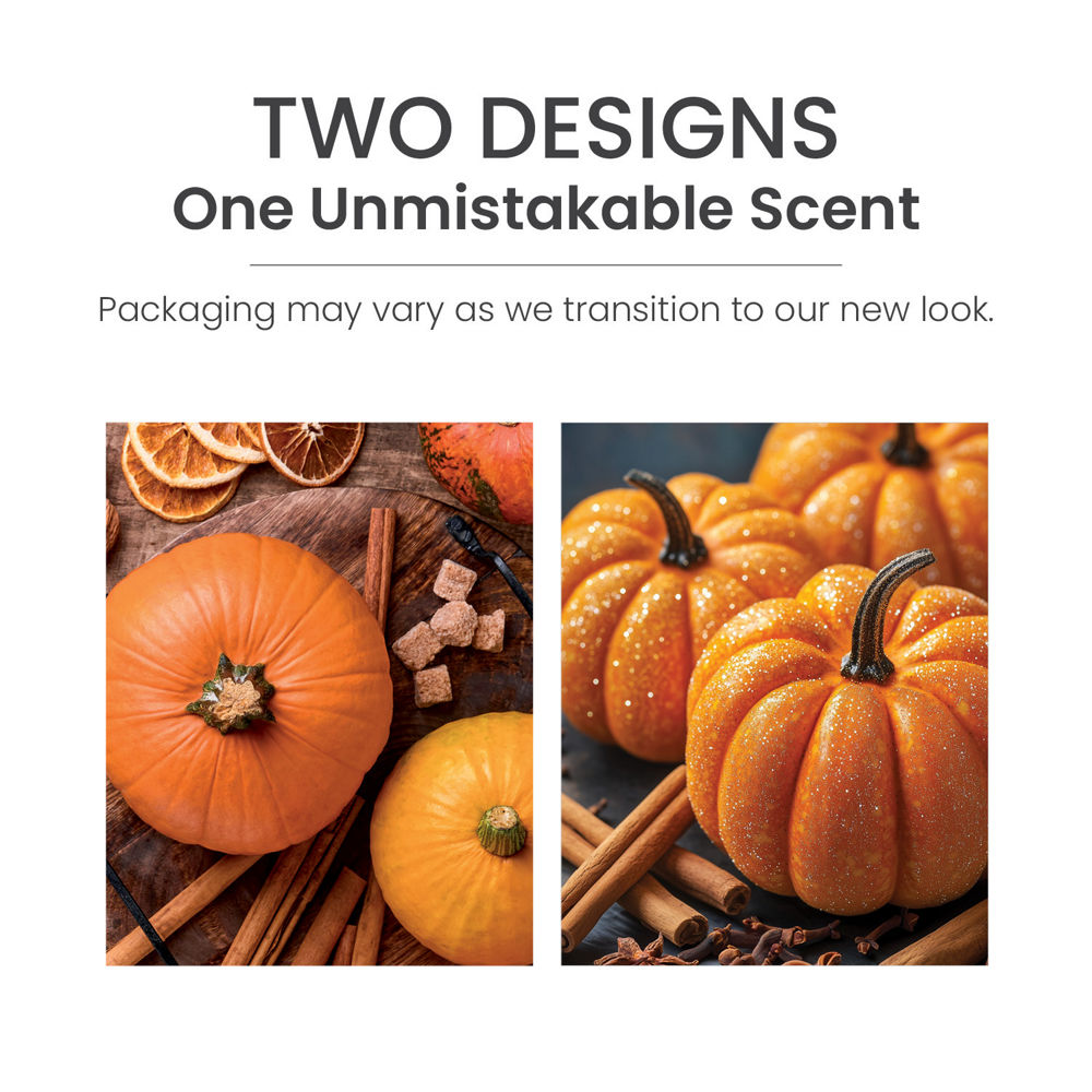 Spiced Pumpkin Scenterpiece® Easy MeltCup - Image 5