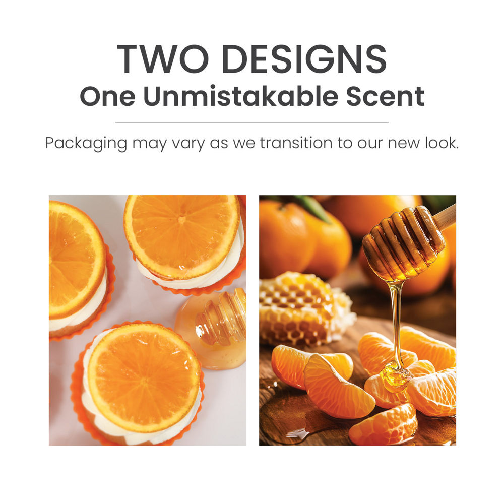 Honey Clementine ScentPlug® Refill - Image 6