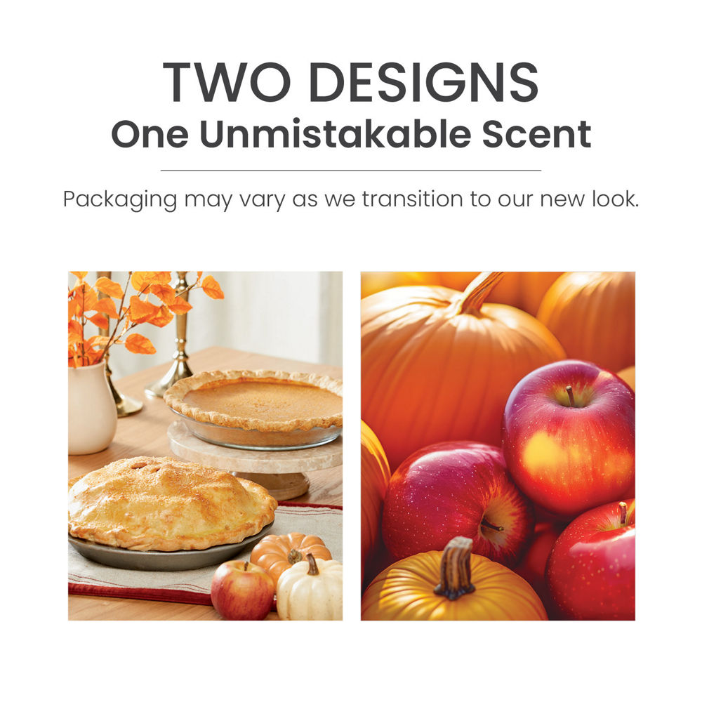 Apple Pumpkin Wax Melts - Image 5