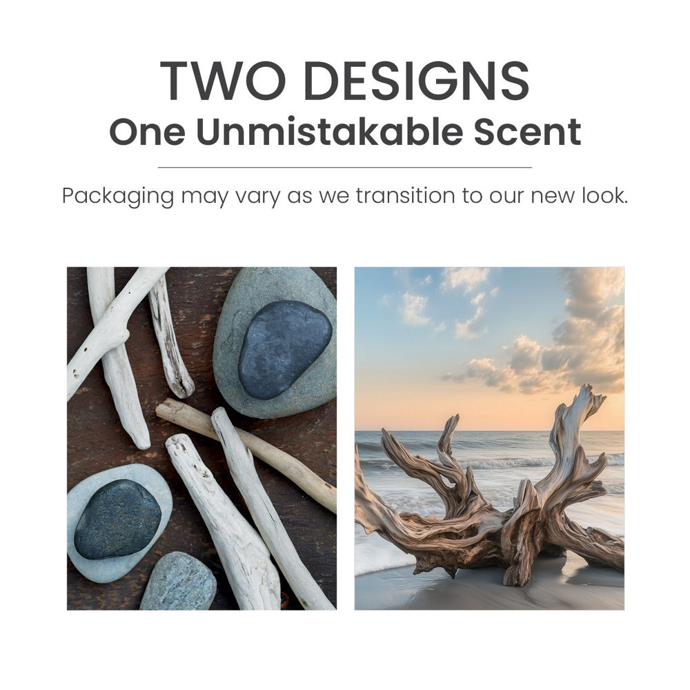 Seaside Woods ScentPlug® Refill - Image 6
