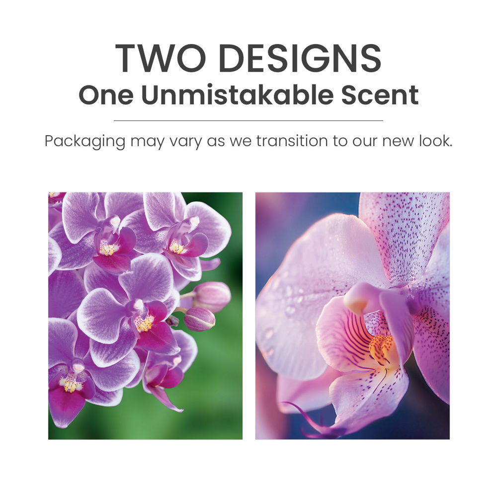 Wild Orchid ScentPlug® Refill - Image 6