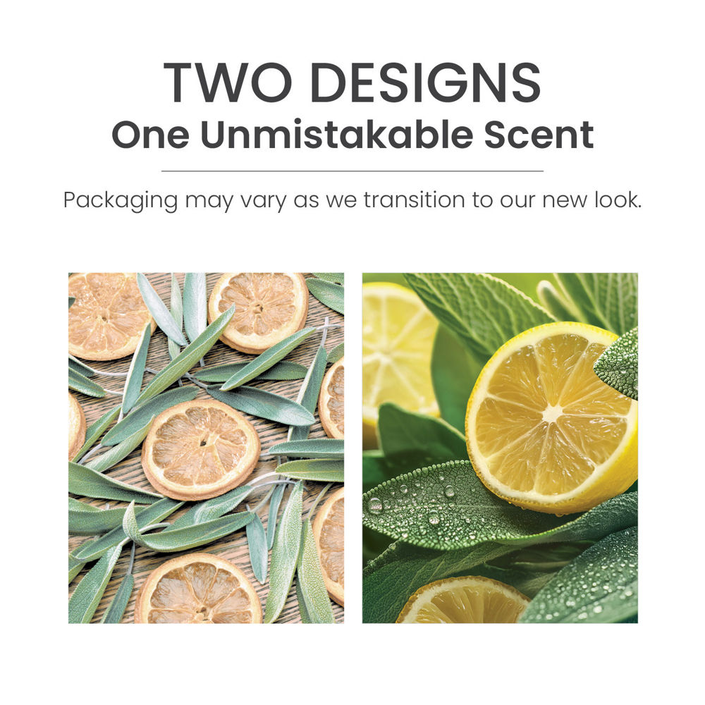 Sage & Citrus Sidekick® Fragrance Refill 2-Pack - Image 3