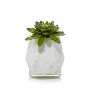 Faceted Succulent ScentPlug® Diffuser with Light