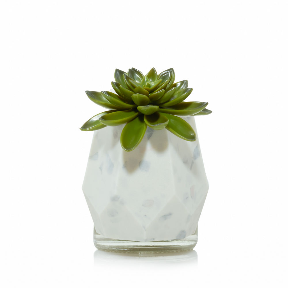 Faceted Succulent ScentPlug® Diffuser with Light