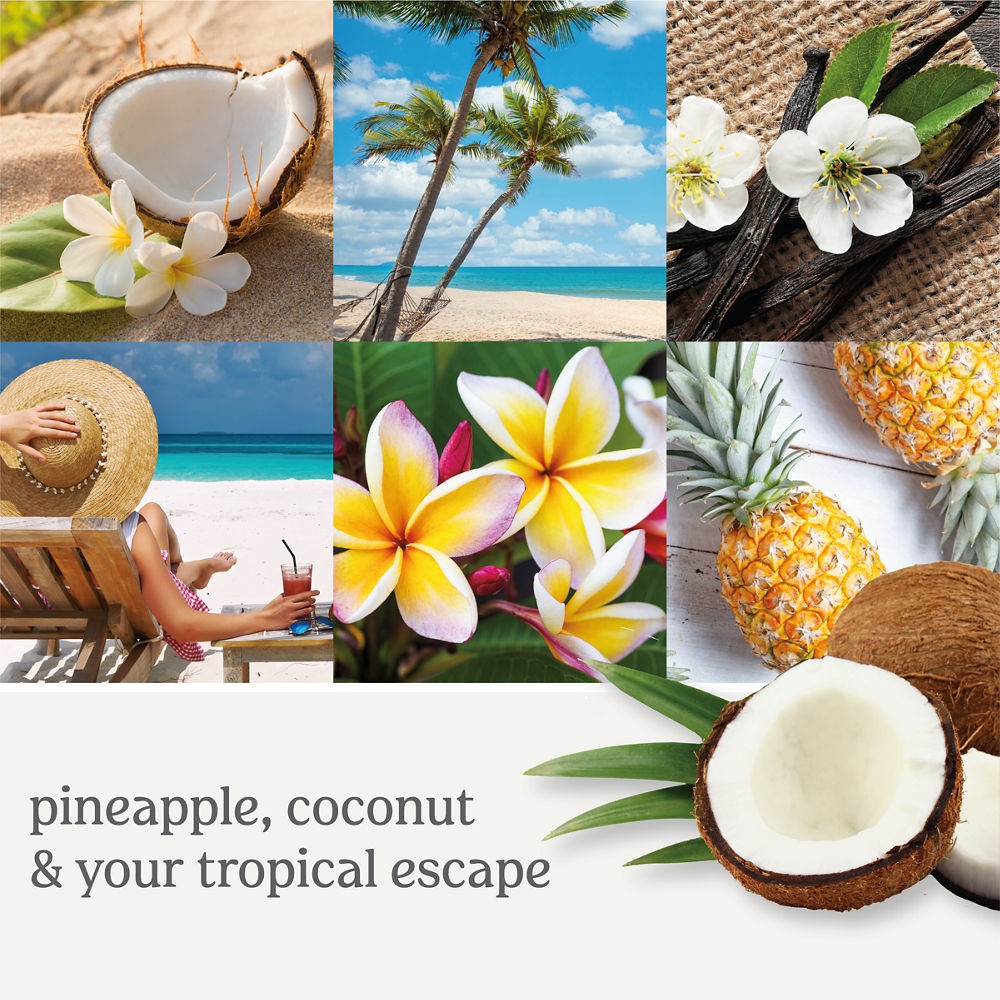 Coconut Beach - Image 2