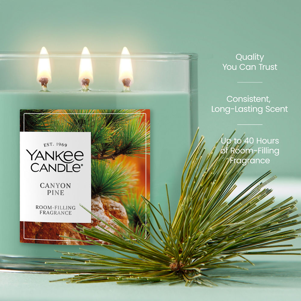 Canyon Pine 3-Wick Candle - Image 3