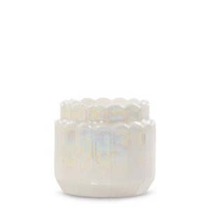 Lustra Shell Tea Light Candle Holder