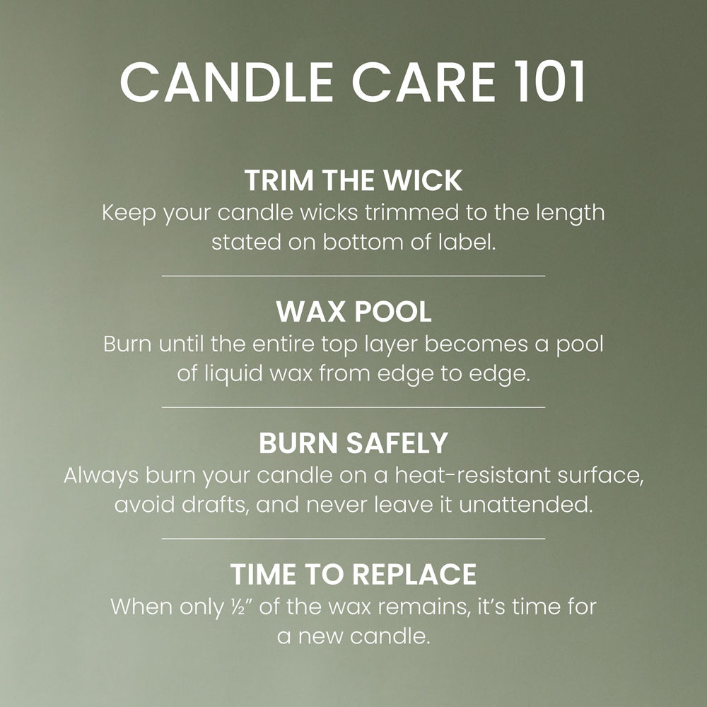 Cardamom Woods 3-Wick Candle - Image 4