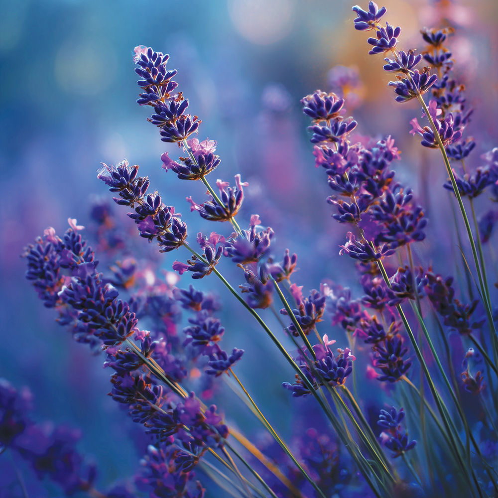 Lavender Dusk Small Tumbler Candle - Image 3
