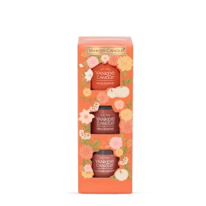 Pumpkin Season Minis Candle Gift Set Trio
