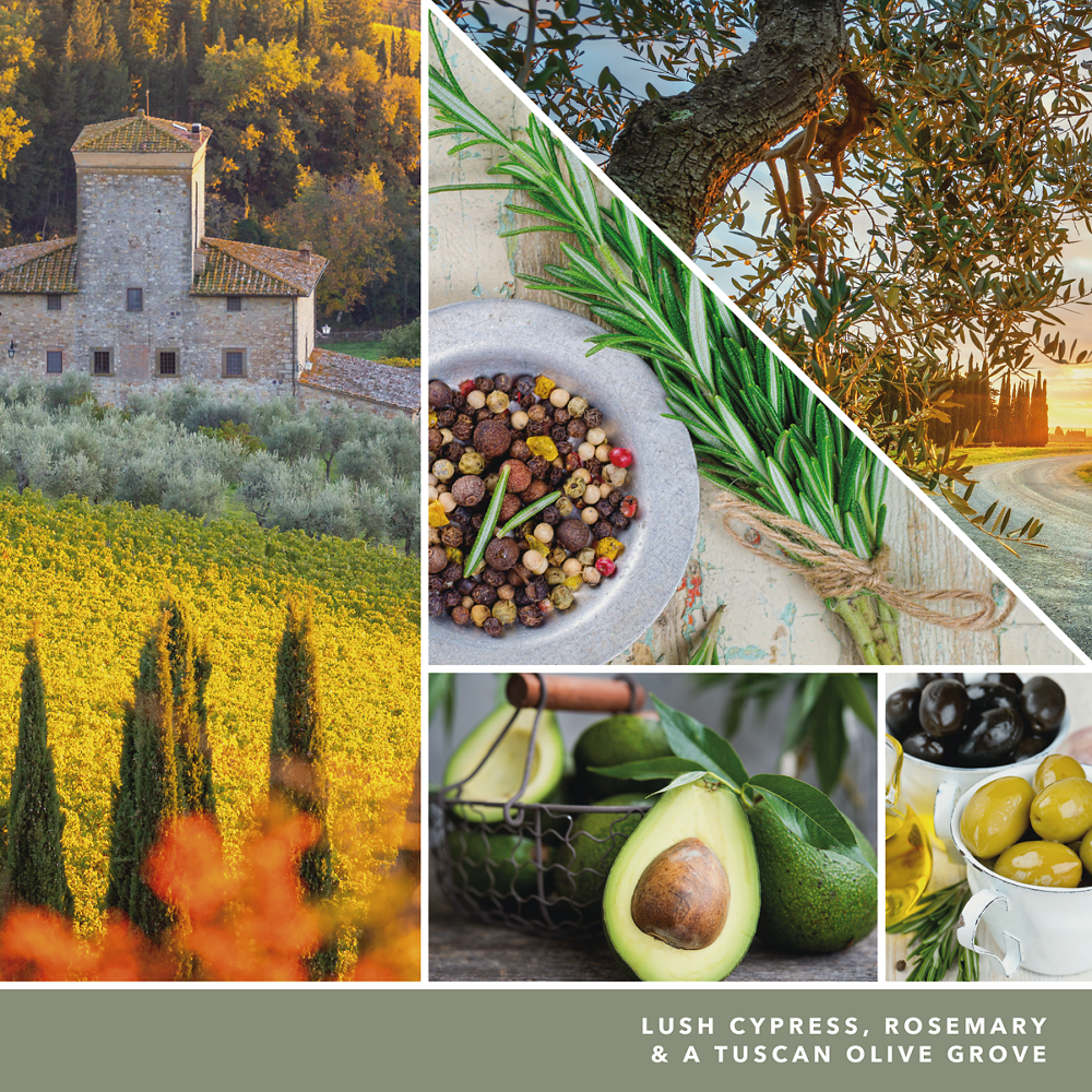 Olive & Cypress - Image 2