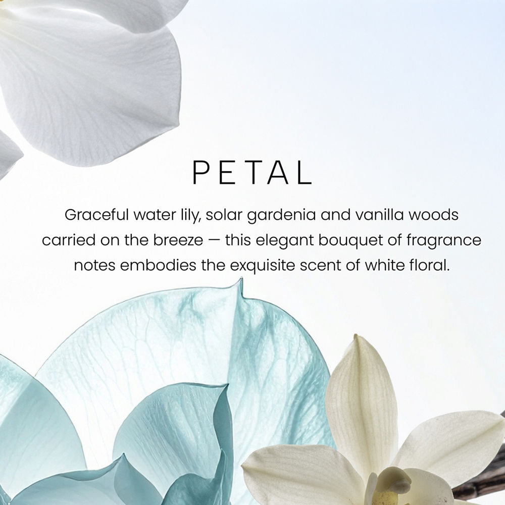Petal Premium Two-Wick 12oz Candle - Image 2