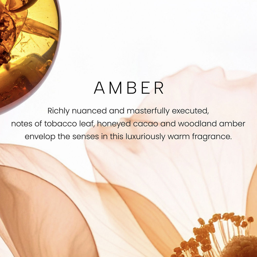 Amber Premium Two-Wick 12oz Candle - Image 2