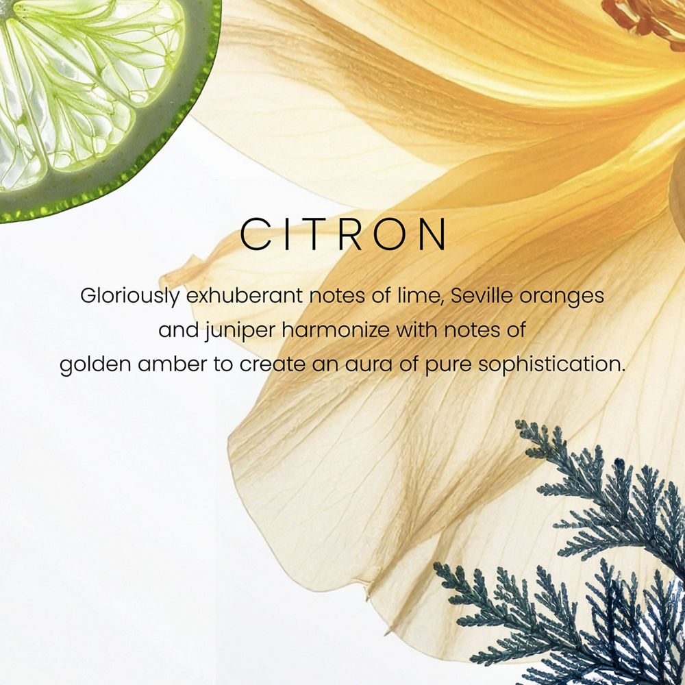 Citron Premium Two-Wick 12oz Candle - Image 2