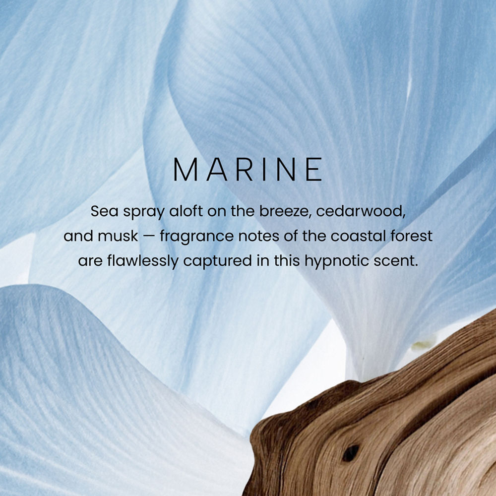 Marine Premium Two-Wick 12oz Candle - Image 2