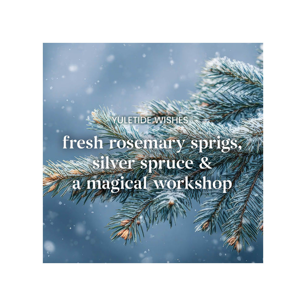 Yuletide Wishes 3-Wick Candle - Image 3
