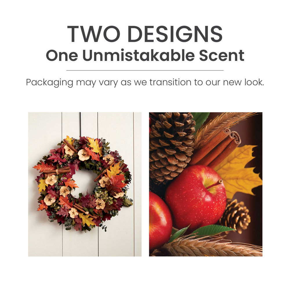 Autumn Wreath™ ScentPlug® Refill - Image 6