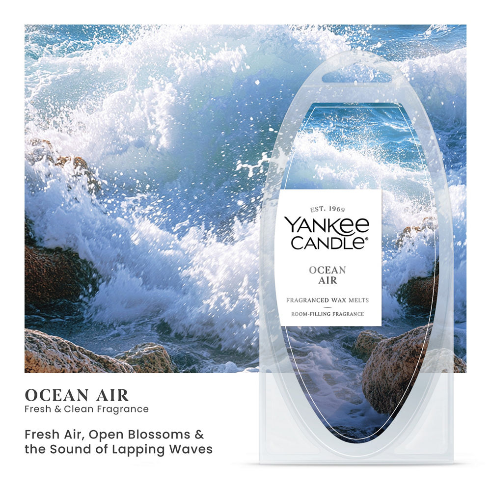 Ocean Air Wax Melts - Image 2