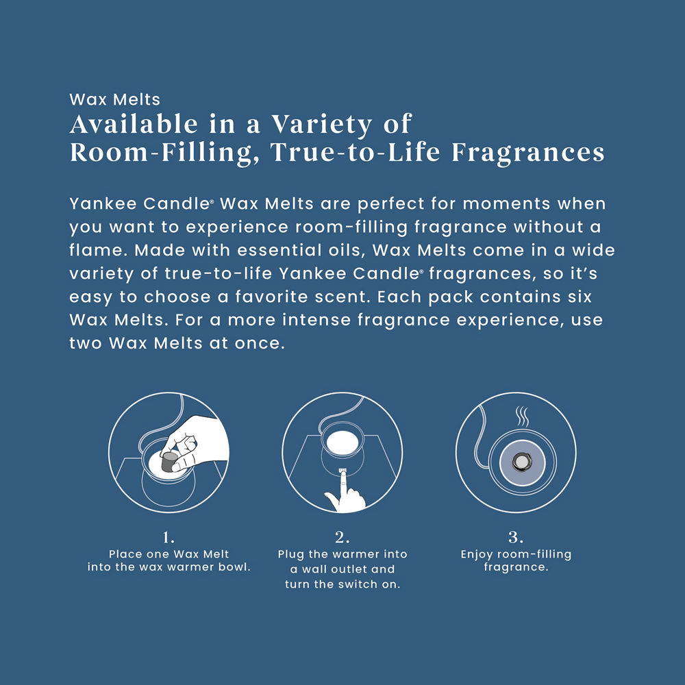 Ocean Air Wax Melts - Image 3
